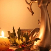 flexitarier-kerst