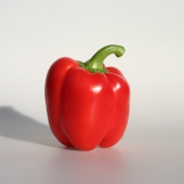bionext-paprika