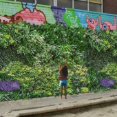 natuur-op-je-muur