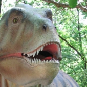 Dinopark-Amersfoort