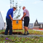 omin-imkerij-bijen-honing