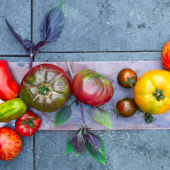 biologische-gezonde-genieten-restaurant-dekas-vers-lokaal-illimani-rondreis-hobbit-vegan