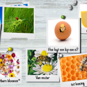 kookpunt voor kids