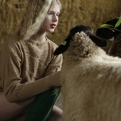 wool2