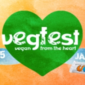 vegfestNL