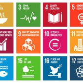 global goals