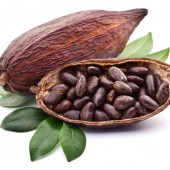 Chocodelic cacaoboon