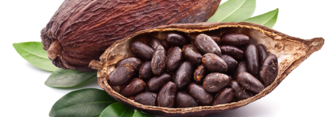 Chocodelic cacaoboon