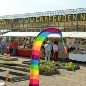 gaaf groen