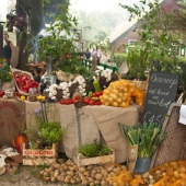 landleven