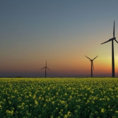 zonne-energie vs windenergie