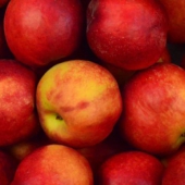 Appels