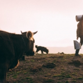 Photo by Mihail Macri on Unsplash