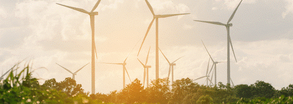 De VELUX Groep zet volgende stap naar 100% groene stroom door samenwerking met Schneider Electric