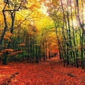Tips om de herfstdip door te komen