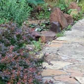 Milieuvriendelijk je tuin bestraten
