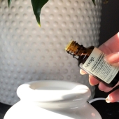 Beste tea tree olie