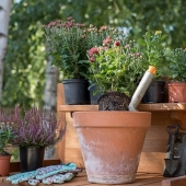 Hoe houd je je tuin goed schoon