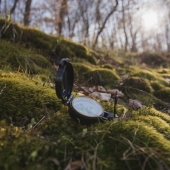 Beste wildcamera