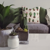 Duurzame decoratie tips voor jouw bedrijf (aan huis)