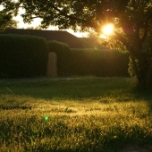 5 tips voor het opruimen van je tuin en het erf