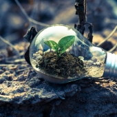 Bespaar geld met LED verlichting!