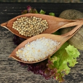 Beste peper- en zoutmolen
