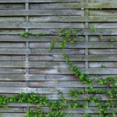 Schutting laten plaatsen in de tuin