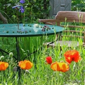 Duurzame keuzes voor een eco-vriendelijke tuin-oase
