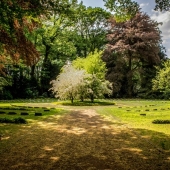 Duurzaam genieten zo maak je van je tuin een groene oase