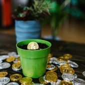 Welke cryptomunten zijn het meest geschikt voor beginners