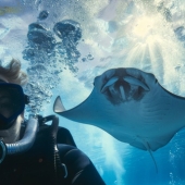Beste onderwatercamera
