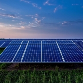 Waarom zonnepanelen steeds aantrekkelijker zijn voor boerenbedrijven