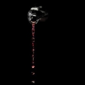 Duurzame wijnproductie hoe Cabernet Sauvignon en Bourgogne zich aanpassen