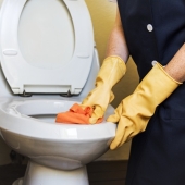 Beste toiletreiniger