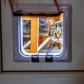 Beste kattenluik met chip