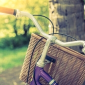 Beste fietskrat