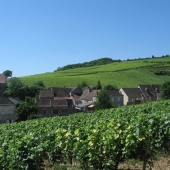 hoe de natuur de wijnen van Bordeaux en Bourgogne vormt