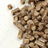 Het nut van houtpellets in een duurzaam huis