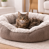 Beste kattenmand