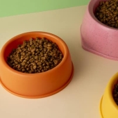 Beste Hill’s kattenvoer