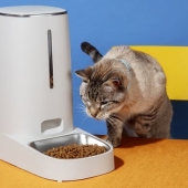 Beste kittenvoer
