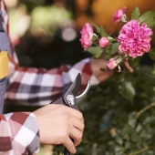 Beste bloemenschaar