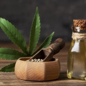 Vind jouw balans met natuurlijke CBD-producten