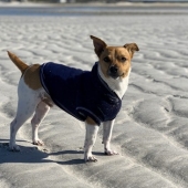 Beste zwemvest hond