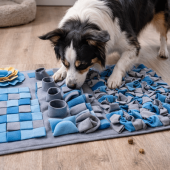Beste denkspelletjes hond