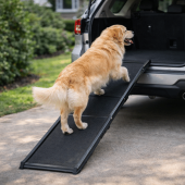 Beste loopplank hond