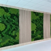 Hoe natuurlijke elementen de werkplek transformeren