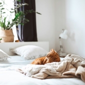 Bewuster leven begint in de slaapkamer