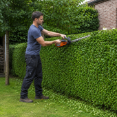 Hagen snoeien met aandacht strak groen, minder afval en meer rust in je tuin